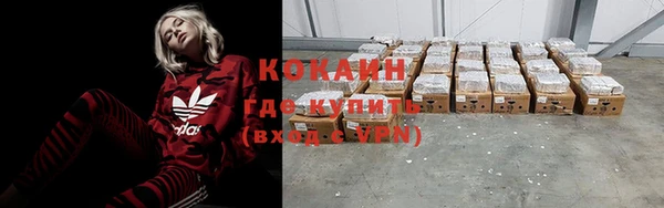 индика Армянск