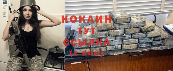 индика Армянск