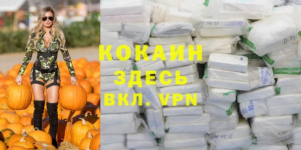 индика Армянск