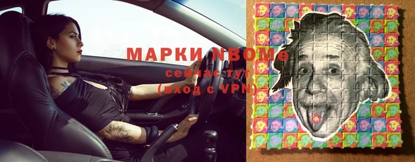 индика Армянск